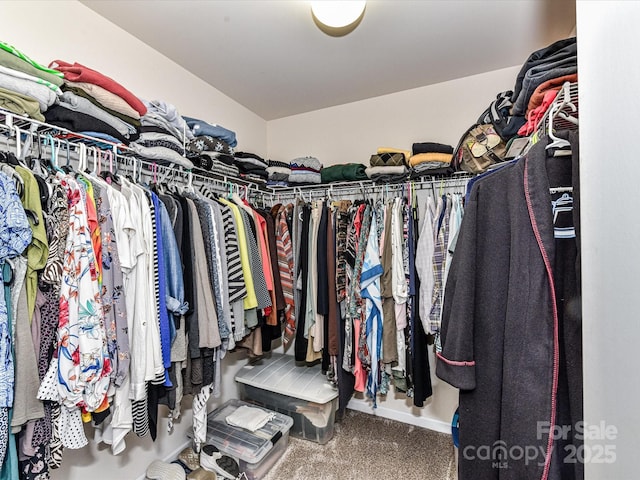 7325 Overmountain Dr, Rock Hill, SC 29732 - walk in closet featuring carpet floors
