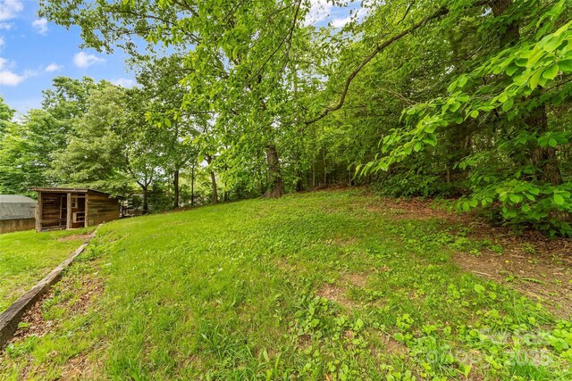 7 Olivewood Dr, Asheville, NC 28805 - photo 21