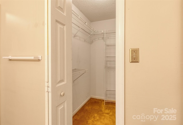 2011 20th Street Pl NE, Hickory, NC 28601 - walk in closet featuring carpet floors