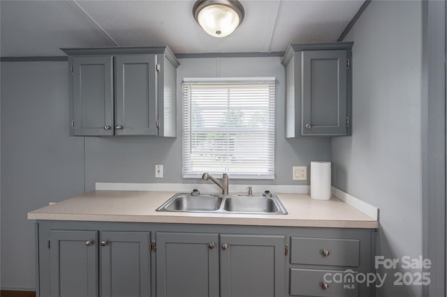 376 Puzzle Creek Rd, Bostic, NC 28018 - kitchen featuring a sink, gray cabinetry, light countertops, and a textured ceiling