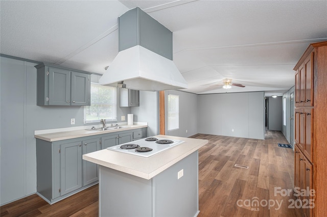 376 Puzzle Creek Rd, Bostic, NC 28018 - kitchen featuring white electric cooktop, lofted ceiling, ceiling fan, a sink, and light countertops