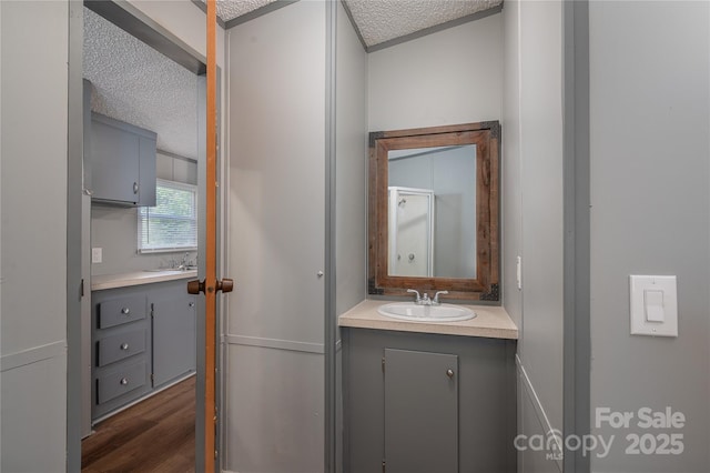 376 Puzzle Creek Rd, Bostic, NC 28018 - bathroom with a textured ceiling, vanity, and wood finished floors