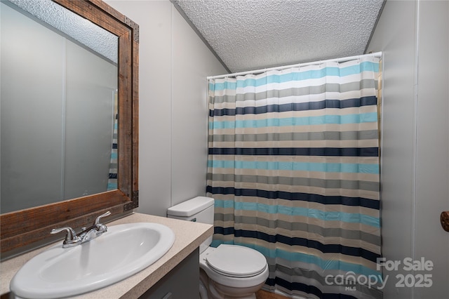 376 Puzzle Creek Rd, Bostic, NC 28018 - full bathroom with a textured ceiling, toilet, vanity, and curtained shower