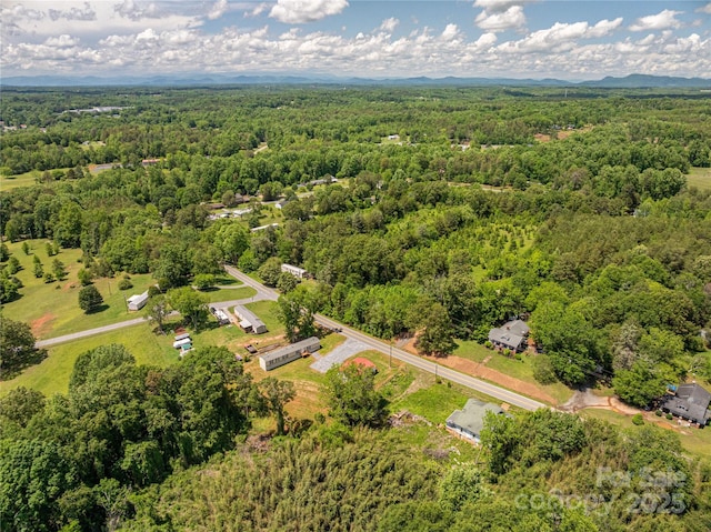 376 Puzzle Creek Rd, Bostic, NC 28018 - aerial view of a heavily wooded area