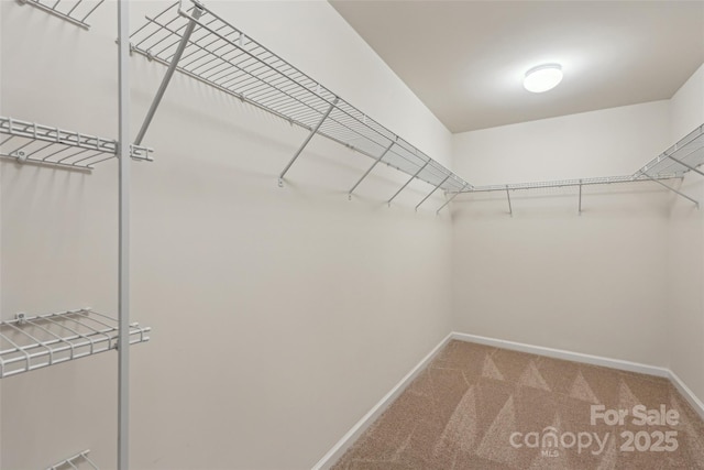 107 Sequoia St, Mooresville, NC 28117 - photo 29