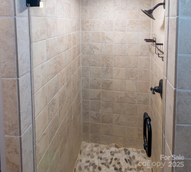 406 Poker Branch Rd, Sylva, NC 28779 - full bathroom with tiled shower