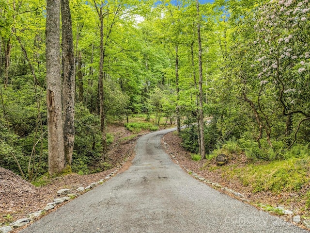 view of asphalt road featuring a forest view