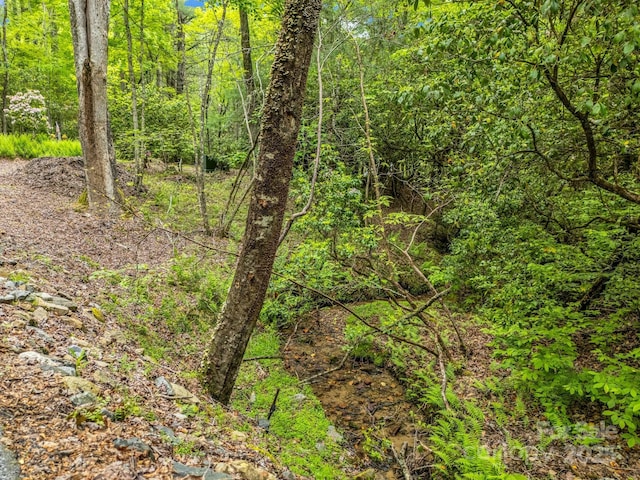 view of wooded area
