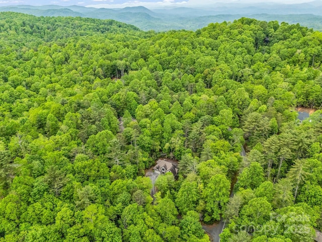 aerial view of a forest and a mountainous background