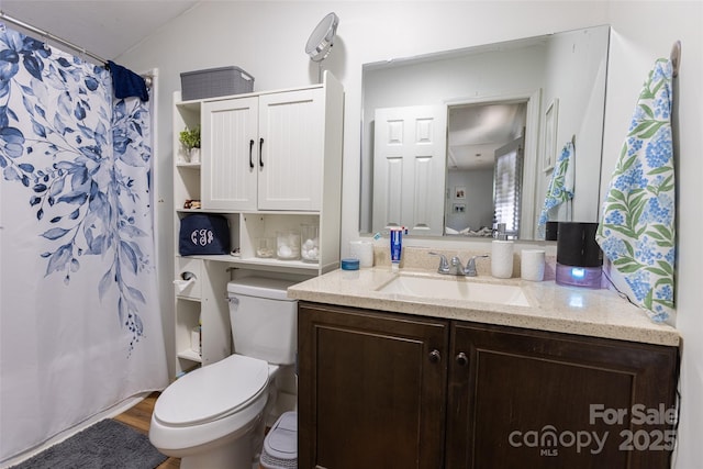 102 Lanier St, Mount Holly, NC 28120 - full bath featuring toilet, vanity, and curtained shower