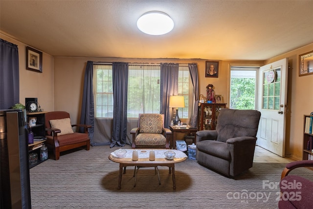 102 Lanier St, Mount Holly, NC 28120 - view of living area