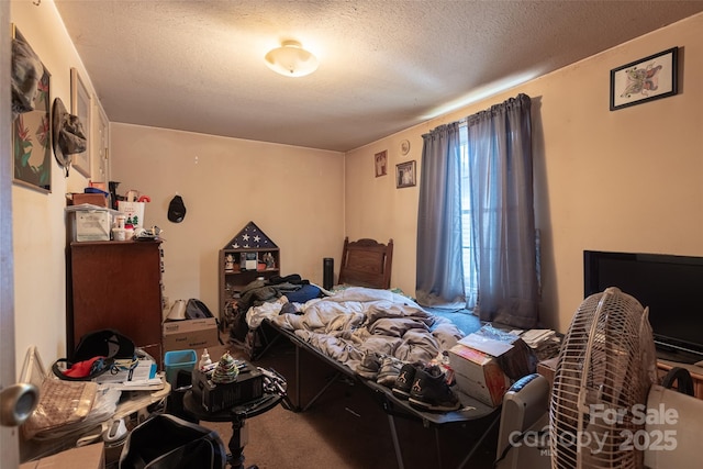 102 Lanier St, Mount Holly, NC 28120 - bedroom featuring a textured ceiling and carpet floors