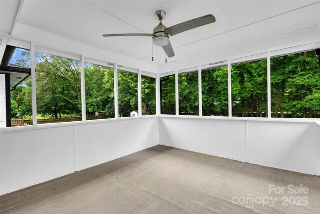 5633 Mallard Dr S, Charlotte, NC 28227 - photo 10