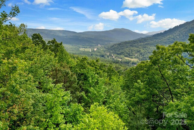 42 Parkway Dr, Marion, NC 28752 - photo 30
