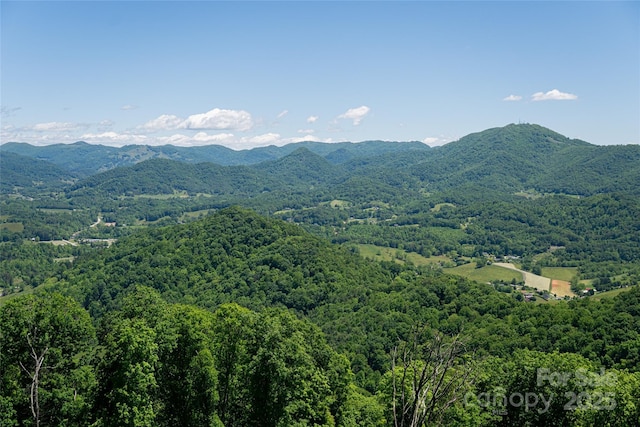 442 Signature Row Blvd, Waynesville, NC 28785 - mountain view with a forest