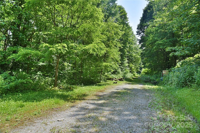 99999 Upward Way Unit 36, Waynesville, NC 28785