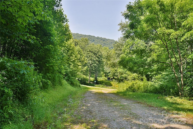 99999 Upward Way Unit 36, Waynesville, NC 28785
