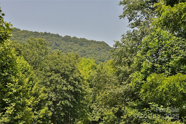 99999 Upward Way Unit 36, Waynesville, NC 28785