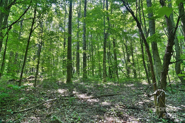 99999 Upward Way Unit 36, Waynesville, NC 28785