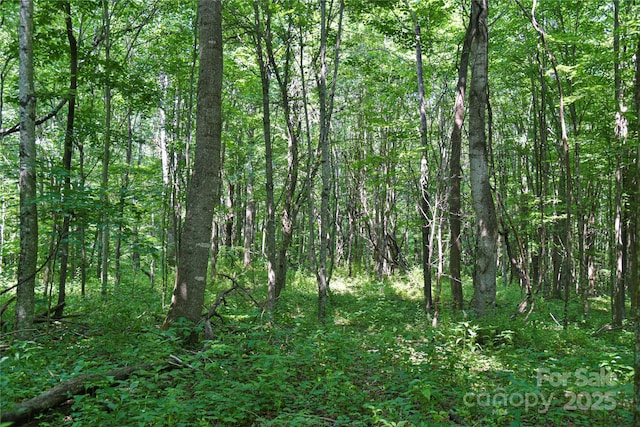 99999 Upward Way Unit 36, Waynesville, NC 28785