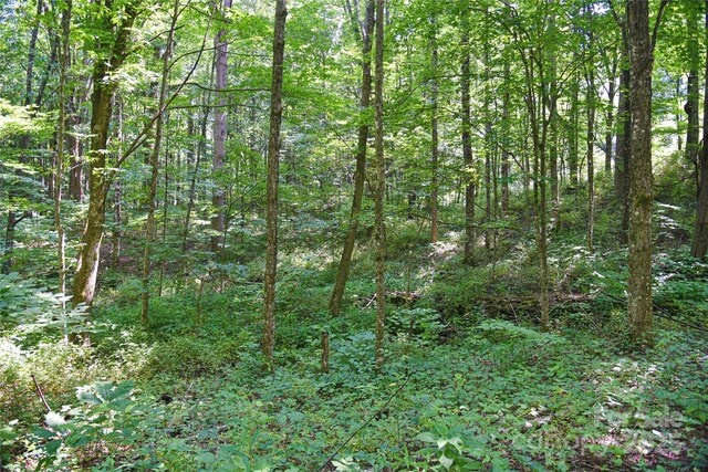 99999 Upward Way Unit 36, Waynesville, NC 28785