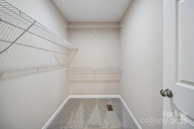 528 S Caldwell St, Salisbury, NC 28144 - walk in closet with carpet