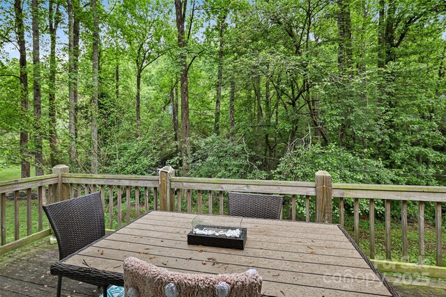 659 Salisbury Rd, Hendersonville, NC 28792 - photo 10