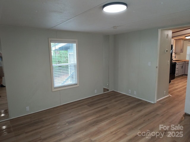 spare room featuring light wood-style flooring and a sink