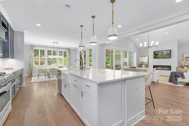 2026 Thatcher Way, Fort Mill, SC 29715 - kitchen featuring stainless steel appliances, a sink, a large fireplace, open floor plan, and recessed lighting