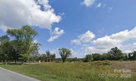 4165 Haywood Rd, Mills River, NC 28759 - photo 3