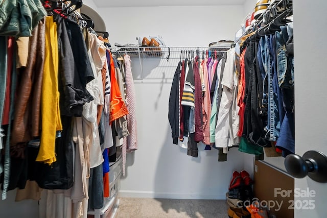 2018 Crooked Oak Ln, York, SC 29745 - walk in closet with carpet flooring