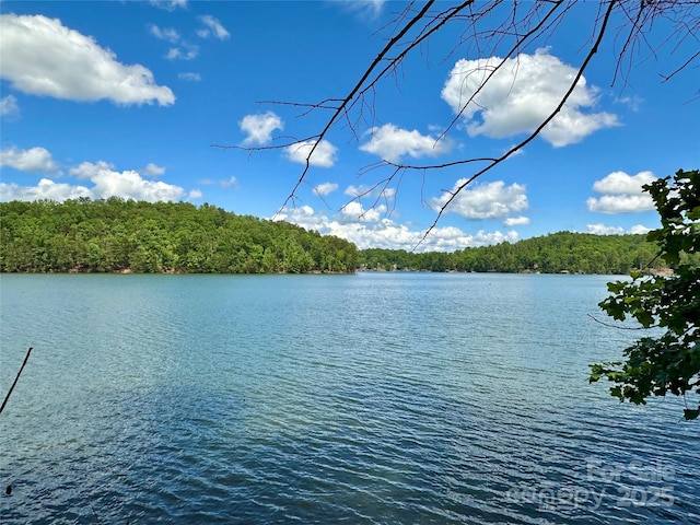 544 Harborside Dr, Nebo, NC 28761 - photo 1