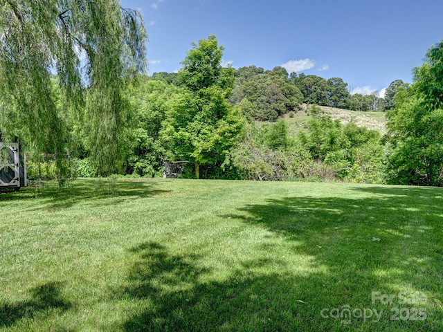 522 Bailey Mountain Rd, Mars Hill, NC 28754 - view of grassy yard