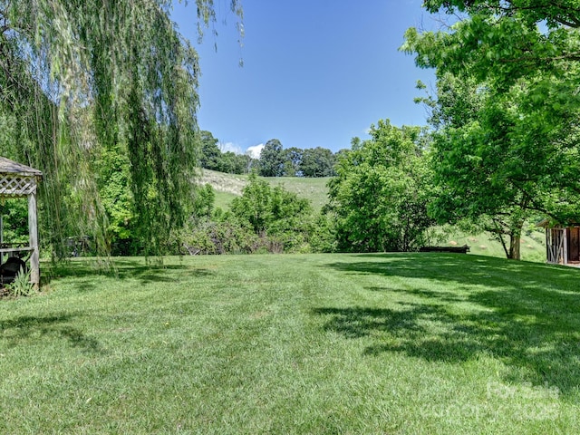522 Bailey Mountain Rd, Mars Hill, NC 28754 - view of green lawn