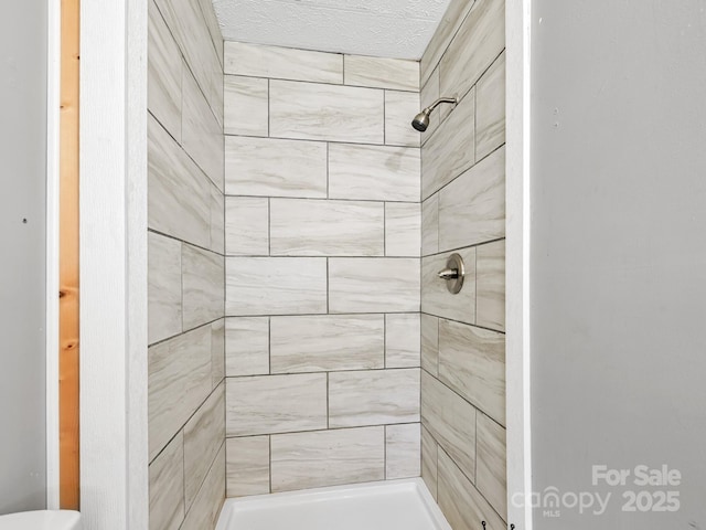 522 Bailey Mountain Rd, Mars Hill, NC 28754 - bathroom featuring a shower stall and toilet