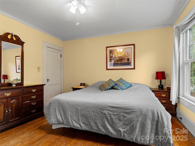 6 Woodley Ave, Asheville, NC 28804 - bedroom with crown molding, wood finished floors, multiple windows, and a ceiling fan