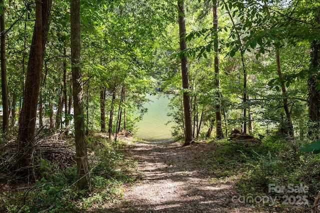 389 Ponderosa Cir, Mooresville, NC 28117 - view of wooded area