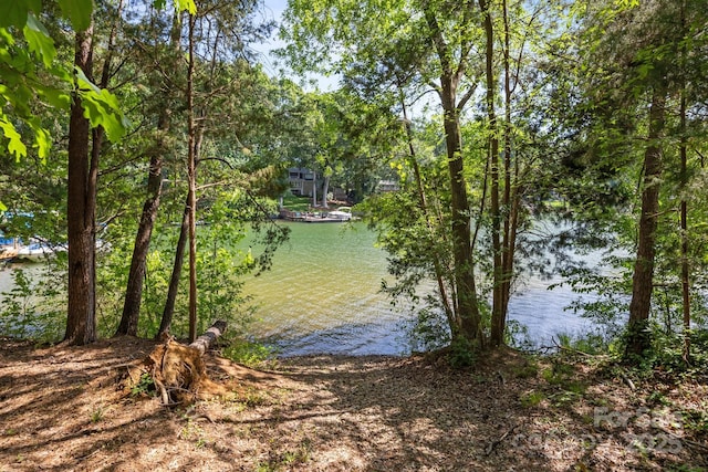 389 Ponderosa Cir, Mooresville, NC 28117 - water view