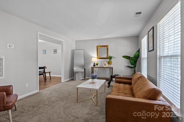 10327 Shelter Rock Ct, Charlotte, NC 28214 - living area with carpet and baseboards