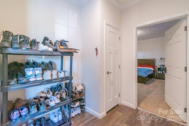 1811 Continental Dr, Albemarle, NC 28001 - hall featuring ornamental molding, wood finished floors, and baseboards