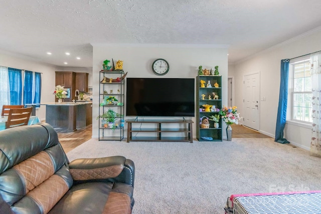 1811 Continental Dr, Albemarle, NC 28001 - carpeted living room with a textured ceiling, recessed lighting, ornamental molding, and baseboards