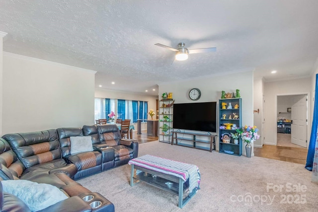 1811 Continental Dr, Albemarle, NC 28001 - living area featuring ornamental molding, ceiling fan, a textured ceiling, carpet flooring, and recessed lighting