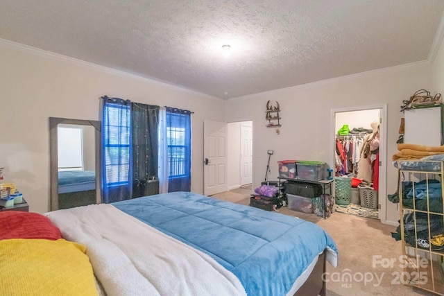 1811 Continental Dr, Albemarle, NC 28001 - bedroom with carpet flooring, a textured ceiling, crown molding, a spacious closet, and a closet