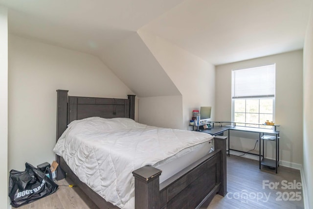 1811 Continental Dr, Albemarle, NC 28001 - bedroom featuring wood finished floors and vaulted ceiling