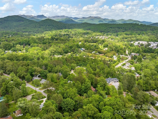 4 Alsatian Ln, Asheville, NC 28805 - aerial view of a forest and a mountain backdrop