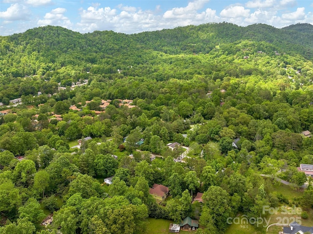4 Alsatian Ln, Asheville, NC 28805 - bird's eye view of a forest