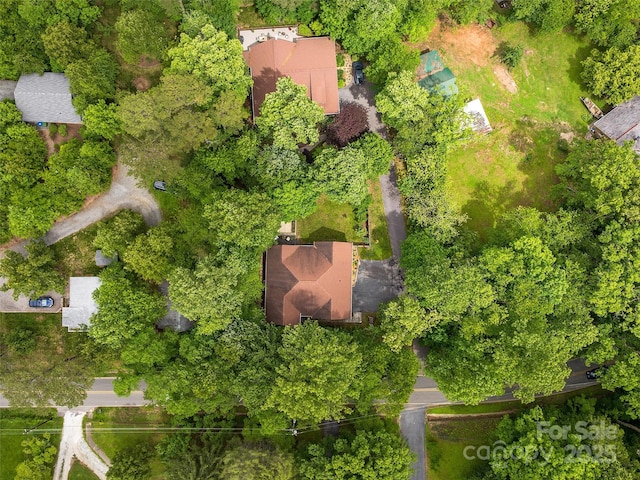 4 Alsatian Ln, Asheville, NC 28805 - bird's eye view