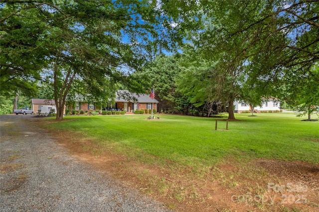 view of grassy yard