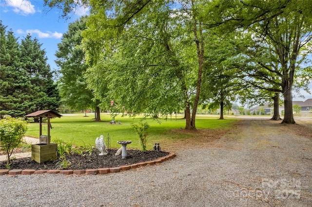 surrounding community featuring a yard