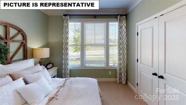 bedroom featuring carpet floors, ornamental molding, baseboards, and multiple windows